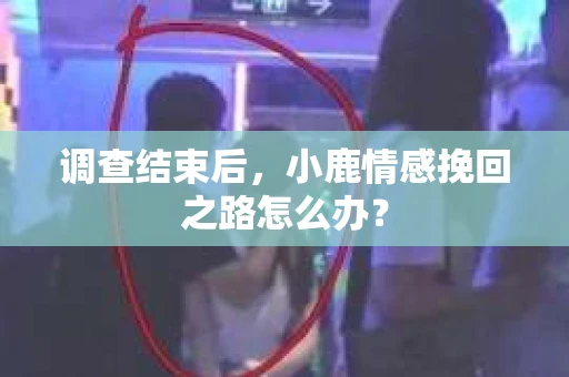 调查结束后，小鹿情感挽回之路怎么办？