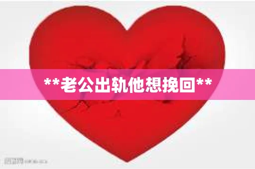 **老公出轨他想挽回**