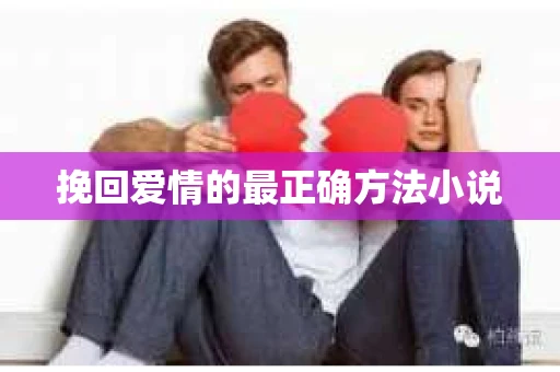 挽回爱情的最正确方法小说