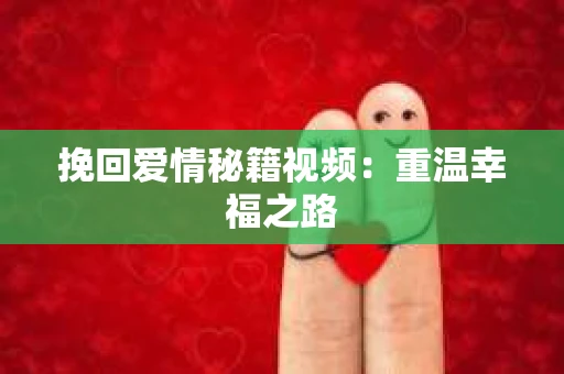 挽回爱情秘籍视频：重温幸福之路
