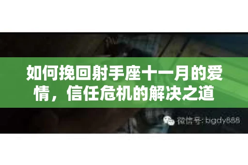 如何挽回射手座十一月的爱情，信任危机的解决之道