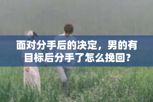 面对分手后的决定，男的有目标后分手了怎么挽回？