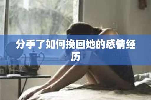 分手了如何挽回她的感情经历