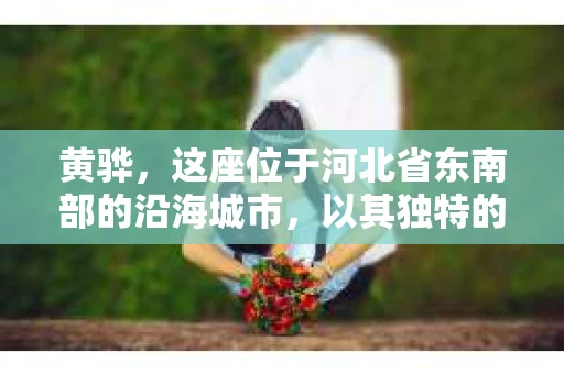 黄骅，这座位于河北省东南部的沿海城市，以其独特的地理位置和丰富的历史文化而闻名。然而，在这座城市中，还有一群人，他们以另一种方式默默守护着社会的公平与正义——私家侦探。今天，我们就来聊聊黄骅的私家侦探，看看他们是如何在这个城市中发挥作用的。