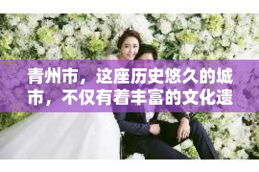 青州市，这座历史悠久的城市，不仅有着丰富的文化遗产，也有着现代生活的便捷。那么，问题来了——青州市有私家侦探公司吗？这个问题，对于需要侦探服务的人来说，无疑至关重要。接下来，我就来为大家揭开这个谜底。