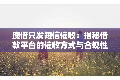 魔借只发短信催收：揭秘借款平台的催收方式与合规性