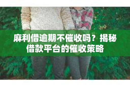 麻利借逾期不催收吗？揭秘借款平台的催收策略