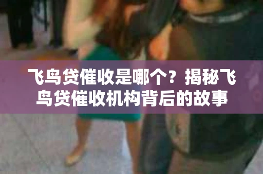 飞鸟贷催收是哪个？揭秘飞鸟贷催收机构背后的故事