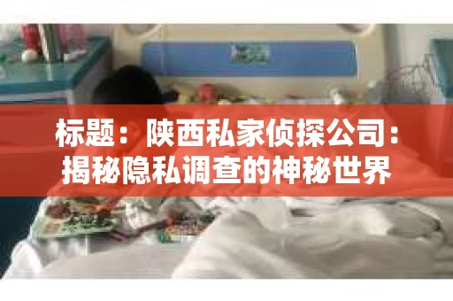 标题：陕西私家侦探公司：揭秘隐私调查的神秘世界