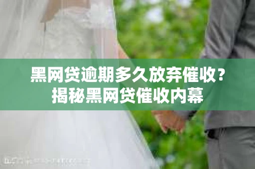黑网贷逾期多久放弃催收？揭秘黑网贷催收内幕
