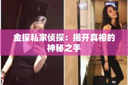 金探私家侦探：揭开真相的神秘之手