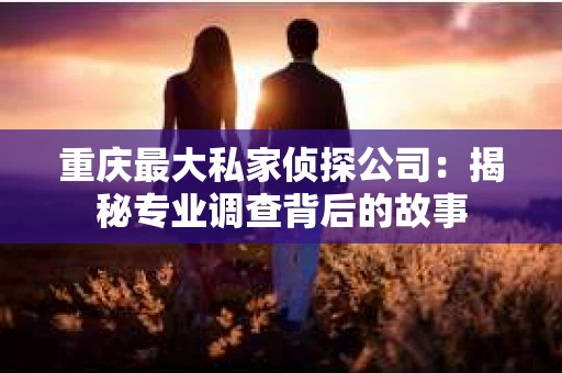 重庆最大私家侦探公司：揭秘专业调查背后的故事