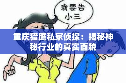 重庆猎鹰私家侦探：揭秘神秘行业的真实面貌