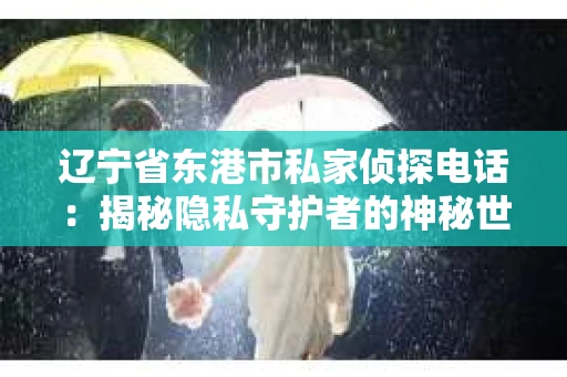 辽宁省东港市私家侦探电话：揭秘隐私守护者的神秘世界