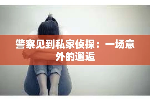 警察见到私家侦探：一场意外的邂逅