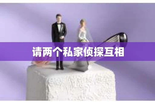 请两个私家侦探互相