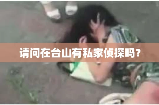 请问在台山有私家侦探吗？