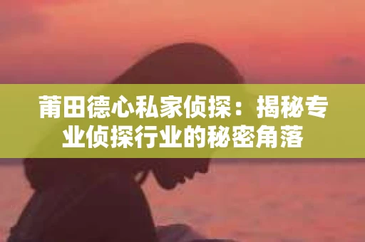 莆田德心私家侦探：揭秘专业侦探行业的秘密角落