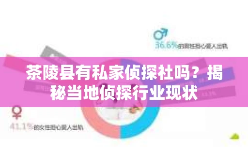茶陵县有私家侦探社吗？揭秘当地侦探行业现状