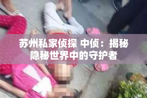 苏州私家侦探 中侦：揭秘隐秘世界中的守护者