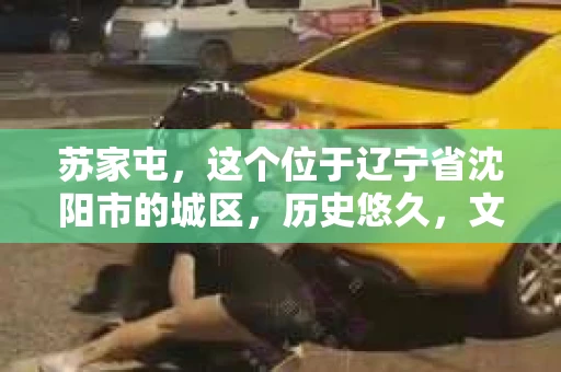 苏家屯，这个位于辽宁省沈阳市的城区，历史悠久，文化底蕴深厚。近年来，随着社会的发展，人们对于私家侦探的需求也逐渐增加。那么，苏家屯有私家侦探吗？今天，我们就来聊聊这个话题。