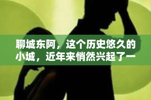 聊城东阿，这个历史悠久的小城，近年来悄然兴起了一股新的服务潮流——私家侦探。今天，我们就来聊聊这个话题，看看在聊城东阿，私家侦探是如何成为人们生活中的一部分的。