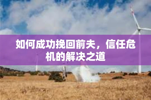 如何成功挽回前夫，信任危机的解决之道