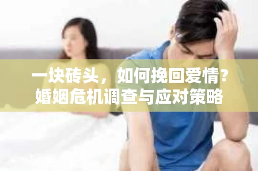 一块砖头，如何挽回爱情？婚姻危机调查与应对策略