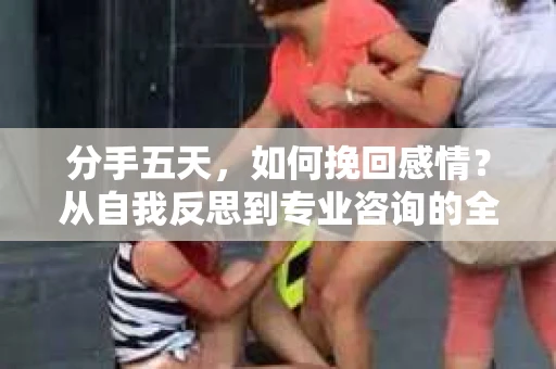 分手五天，如何挽回感情？从自我反思到专业咨询的全面解决方案