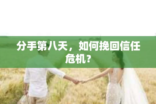 分手第八天，如何挽回信任危机？