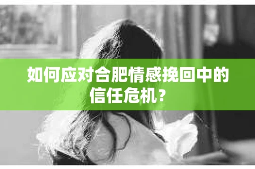 如何应对合肥情感挽回中的信任危机？