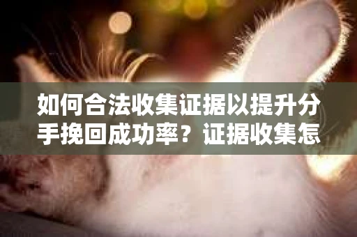 如何合法收集证据以提升分手挽回成功率？证据收集怎么办？
