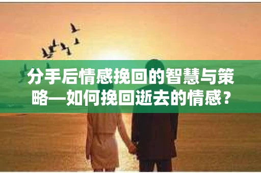 分手后情感挽回的智慧与策略—如何挽回逝去的情感？